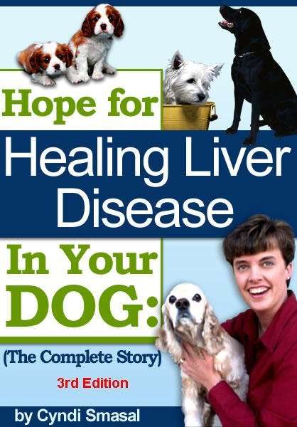 Home - Hopeful Alternative Treatment for Healing Canine Liver Disease