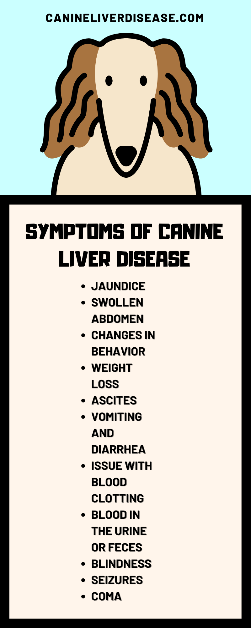 Canine Liver Disease Symptoms, Causes, Treatments