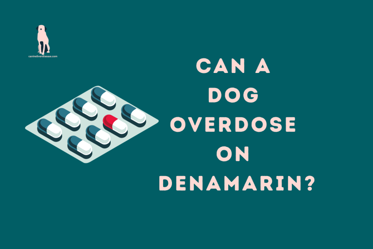 Can A Dog Overdose On Denamarin