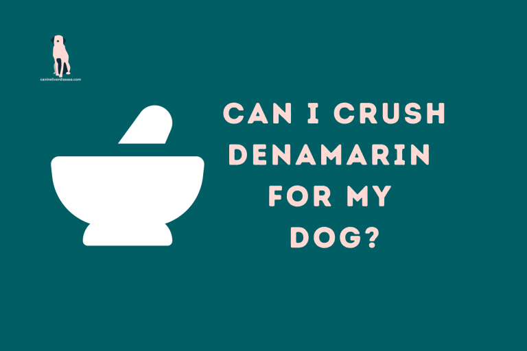 Can I crush denamarin for my dog