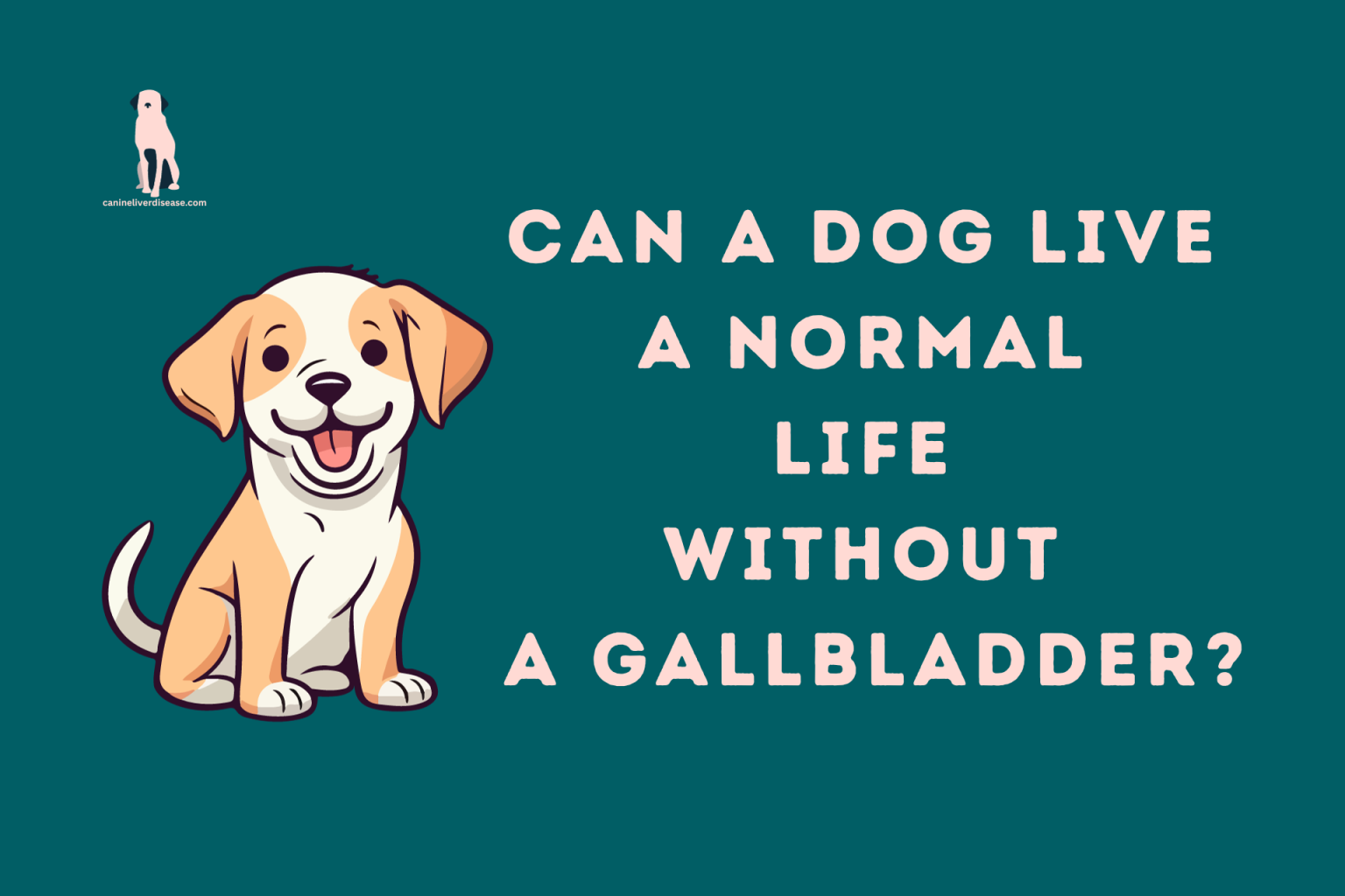 can-a-dog-live-a-normal-life-without-a-gallbladder-canine-liver