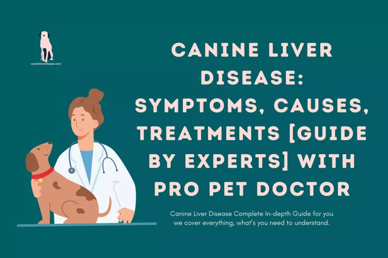 Canine Liver Disease