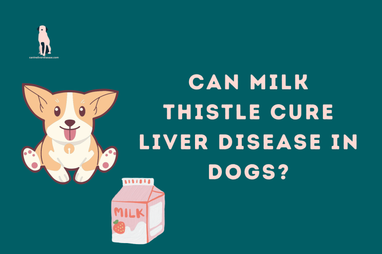 Can milk thistle cure liver disease in dogs?