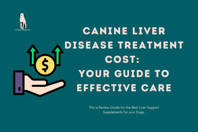 Canine Liver Disease Treatment Cost Your Guide to Effective Care