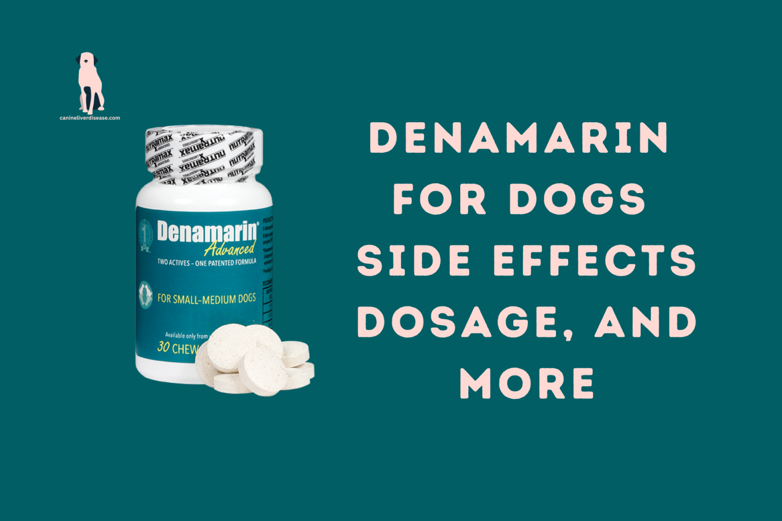 Denamarin For Dogs Side Effects Dosage, and More - Canine Liver Disease