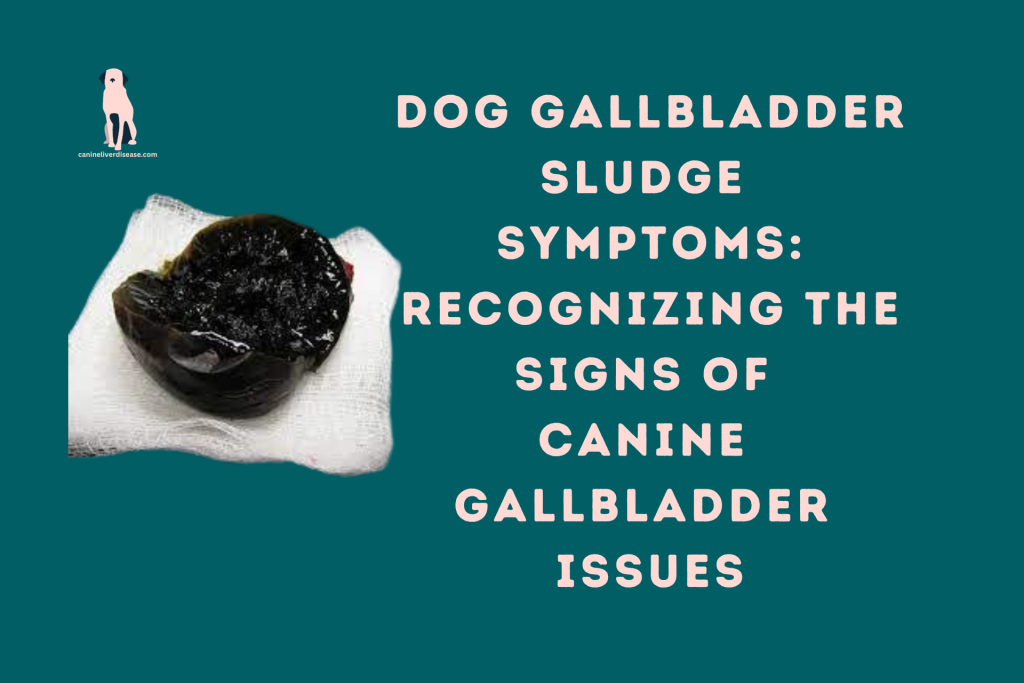 Dog Gallbladder Sludge Symptoms Recognizing the Signs