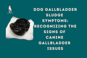 Dog Gallbladder Sludge Symptoms: Recognizing the Signs