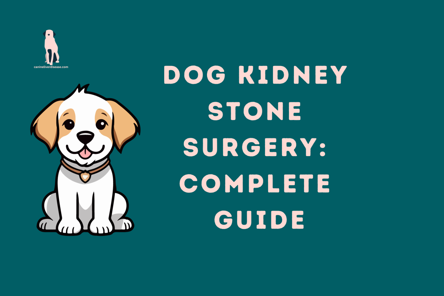 Dog Kidney Stone Surgery Complete Guide Canine Liver Disease