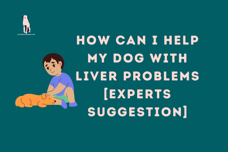 How Can I Help My Dog With Liver Problems