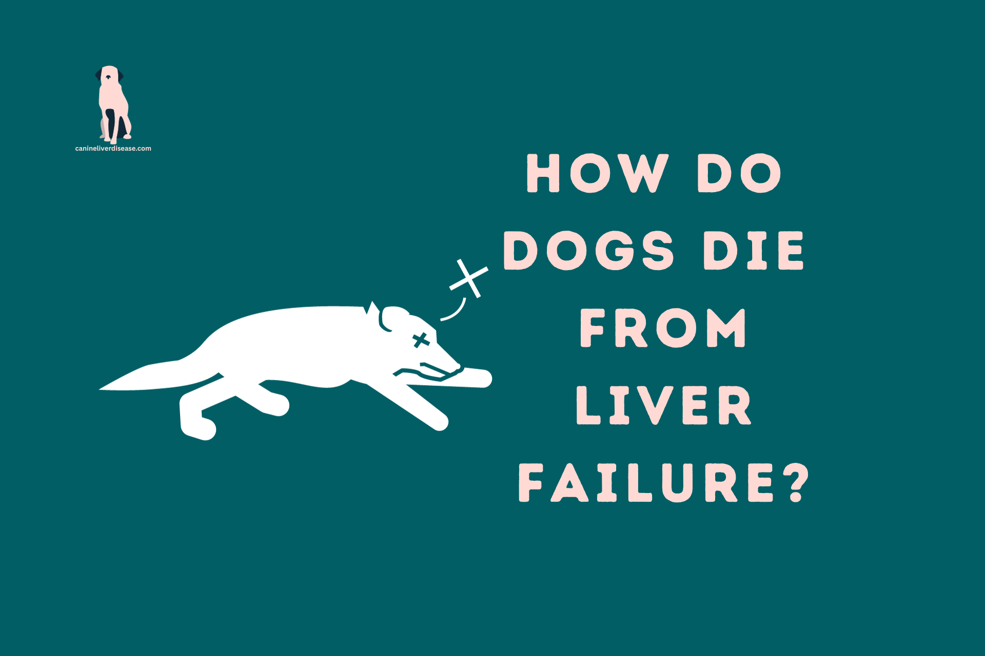 How Do Dogs Die From Liver Failure