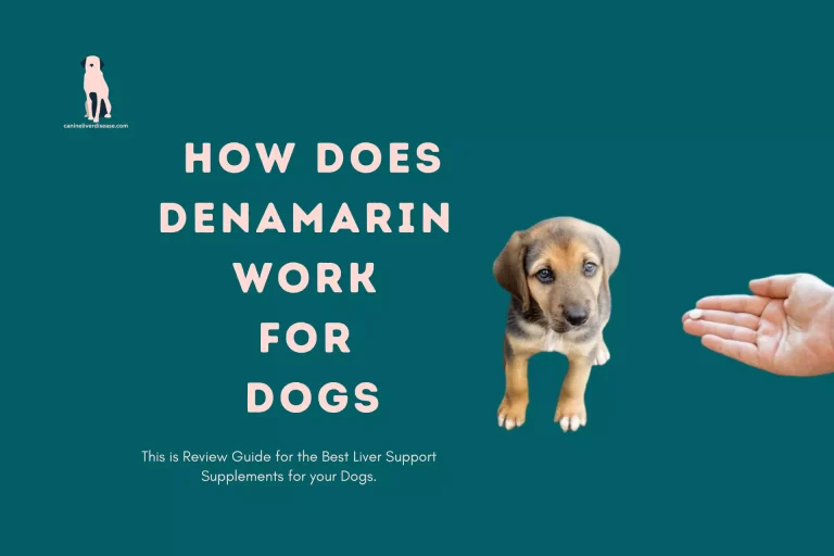 How Does Denamarin Work for Dogs