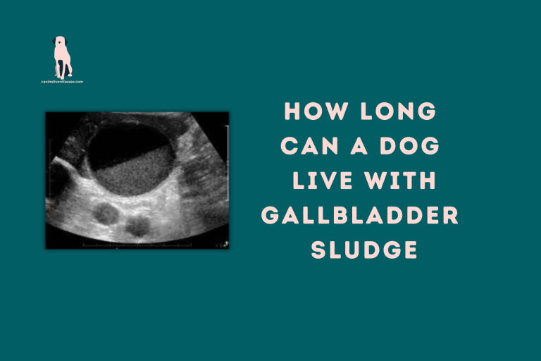 How Long Can a Dog Live with Gallbladder Sludge