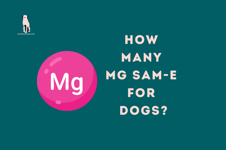 How Many MG SAM-E For Dogs