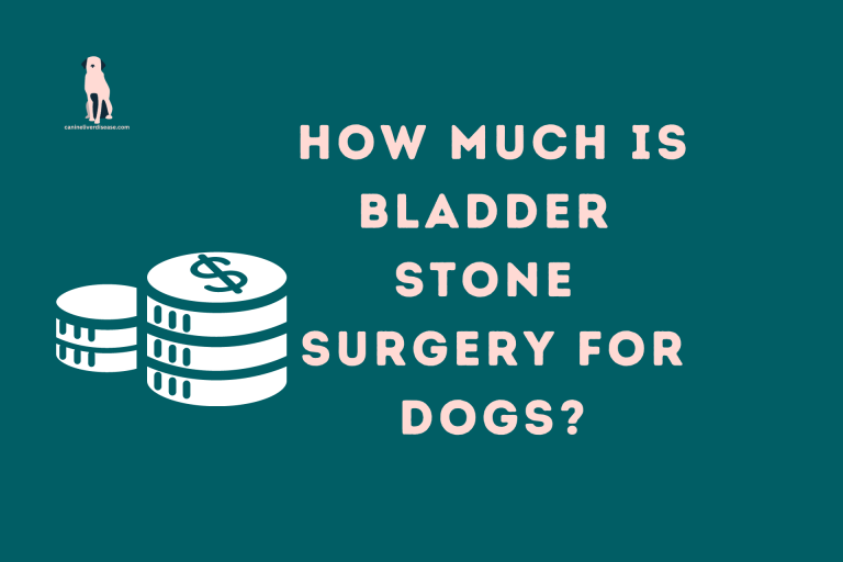 Discover the cost of Bladder Stone Surgery for dogs. Get pricing insights for pet healthcare.