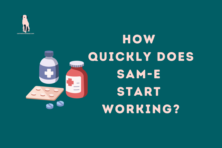 How Quickly Does SAM-e Start Working Understanding the Onset of SAM-e's Therapeutic Effects