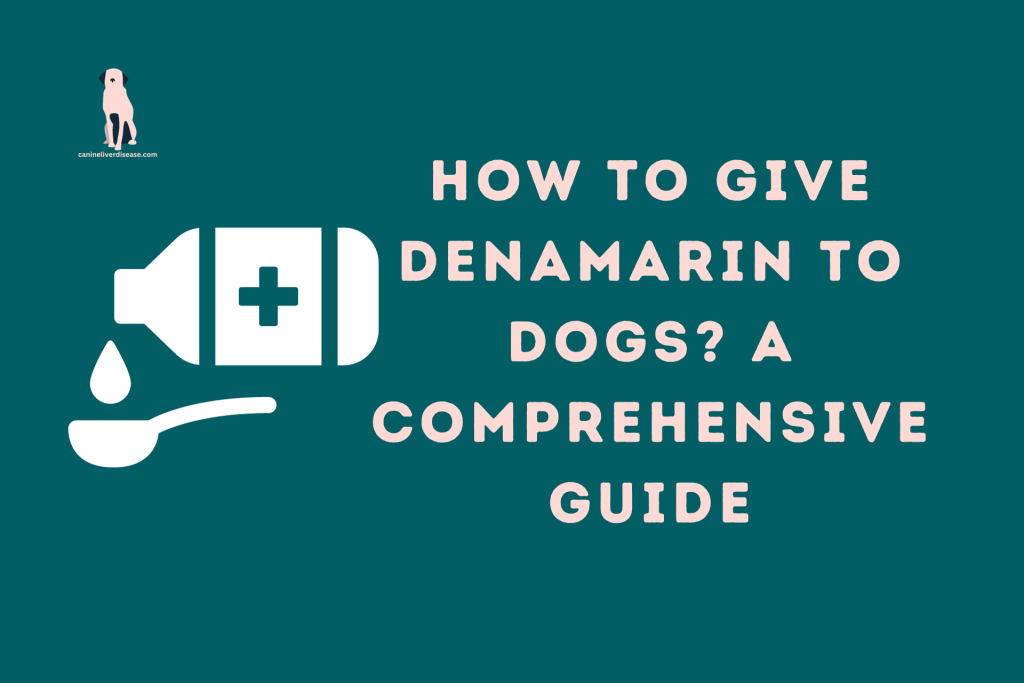 How To Give Denamarin To Dogs? A Comprehensive Guide - Canine Liver ...