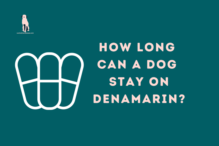 How long can a dog stay on denamarin