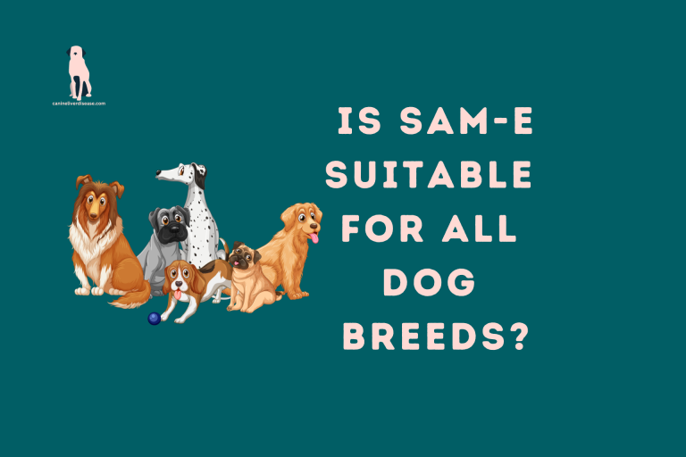 Is SAM-E suitable for all dog breeds