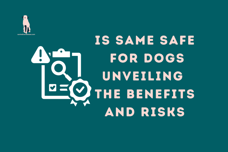 Is Same Safe For Dogs Unveiling the Benefits and Risks