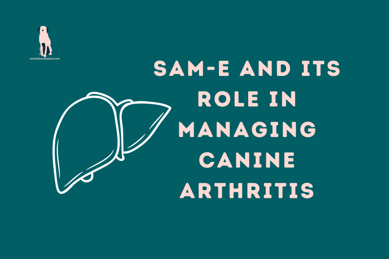 SAM-E And Its Role In Managing Canine Arthritis