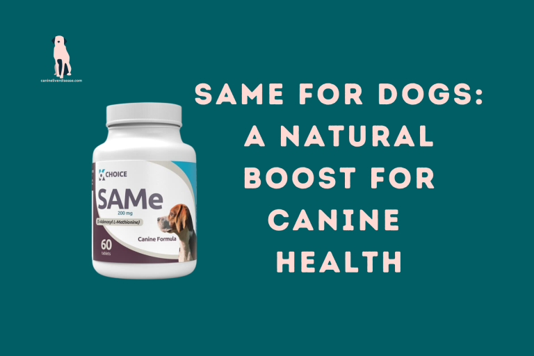 SAMe For Dogs A Natural Boost For Canine Health