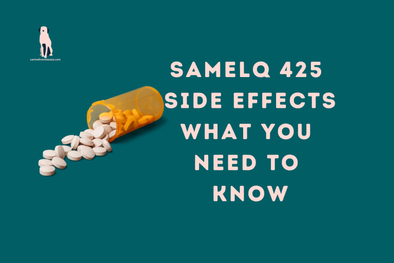 Samelq 425 Side Effects What You Need To Know