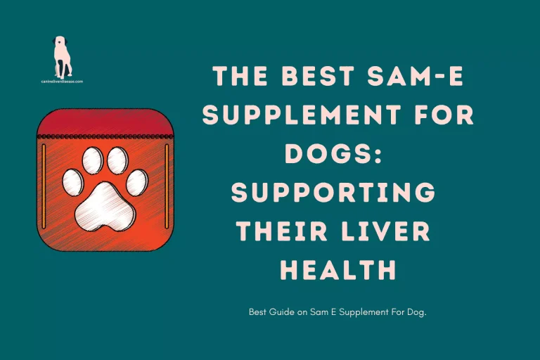 The Best SAM-e Supplement for Dogs