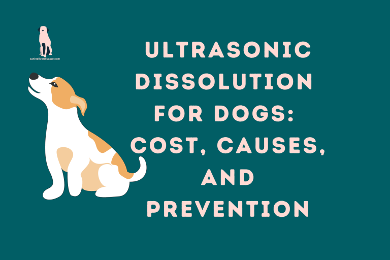 Ultrasonic Dissolution for Dogs Cost, Causes, and Prevention