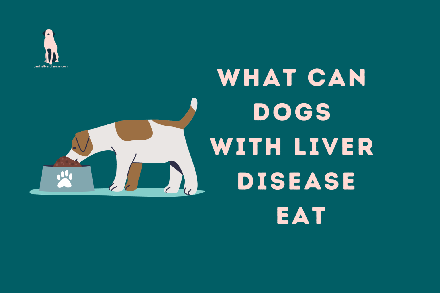 What Can Dogs With Liver Disease Eat Guide)