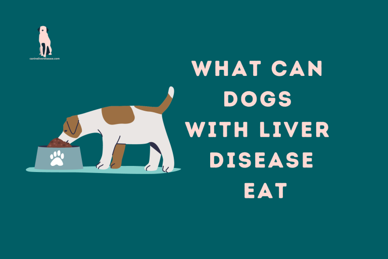 What Can Dogs With Liver Disease Eat