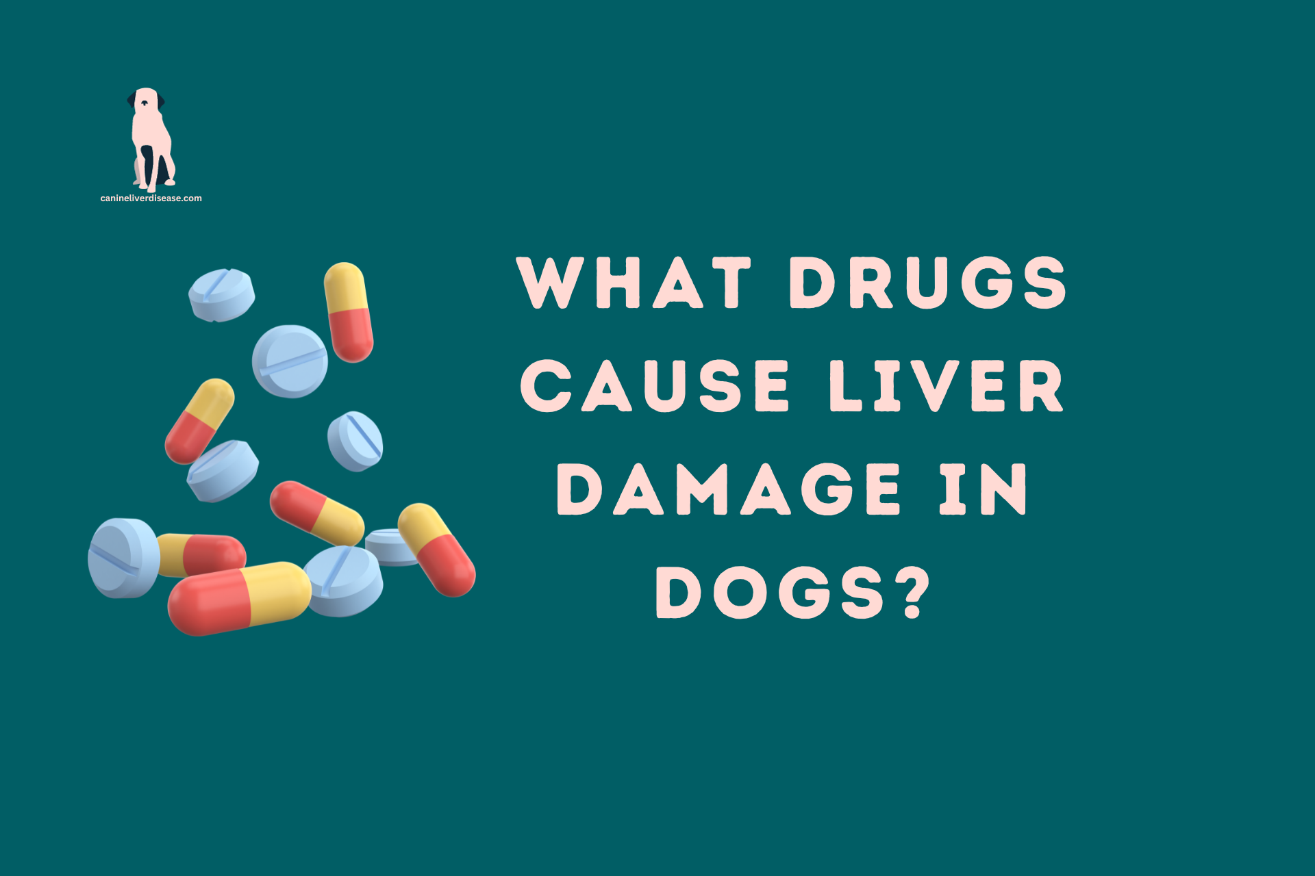 What Drugs Cause Liver Damage In Dogs