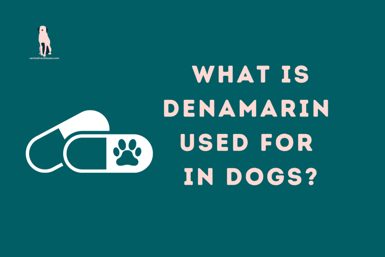 What Is Denamarin Used For In Dogs