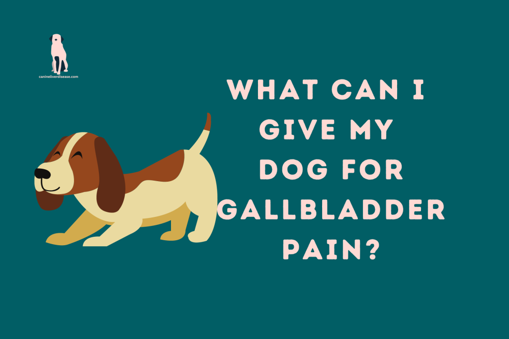 Dog Gallbladder Sludge Symptoms: Recognizing the Signs