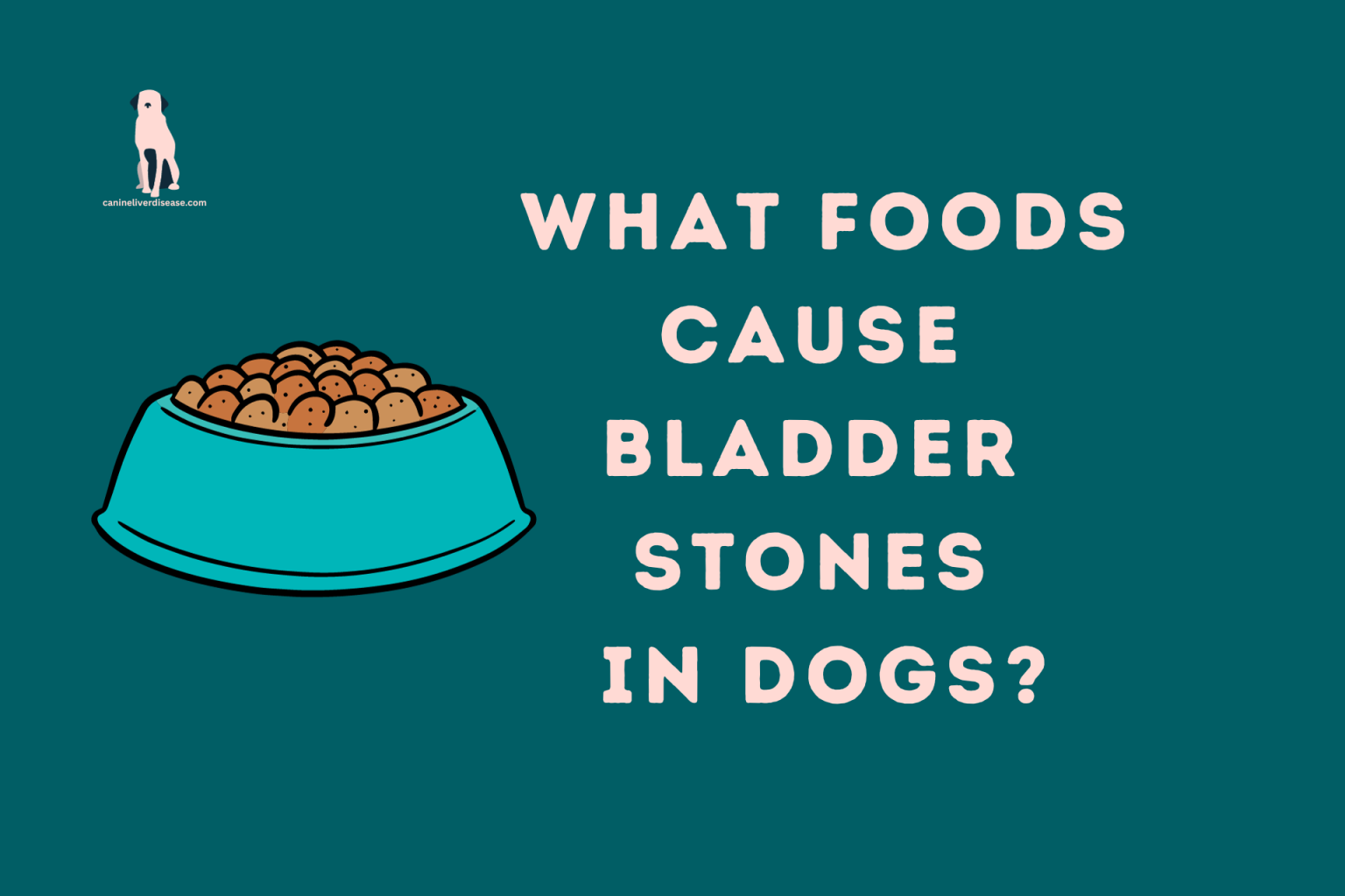 What foods cause bladder stones in dogs? Canine Liver Disease
