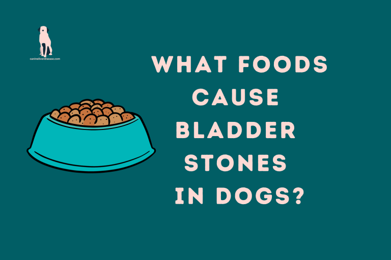 What foods cause bladder stones in dogs