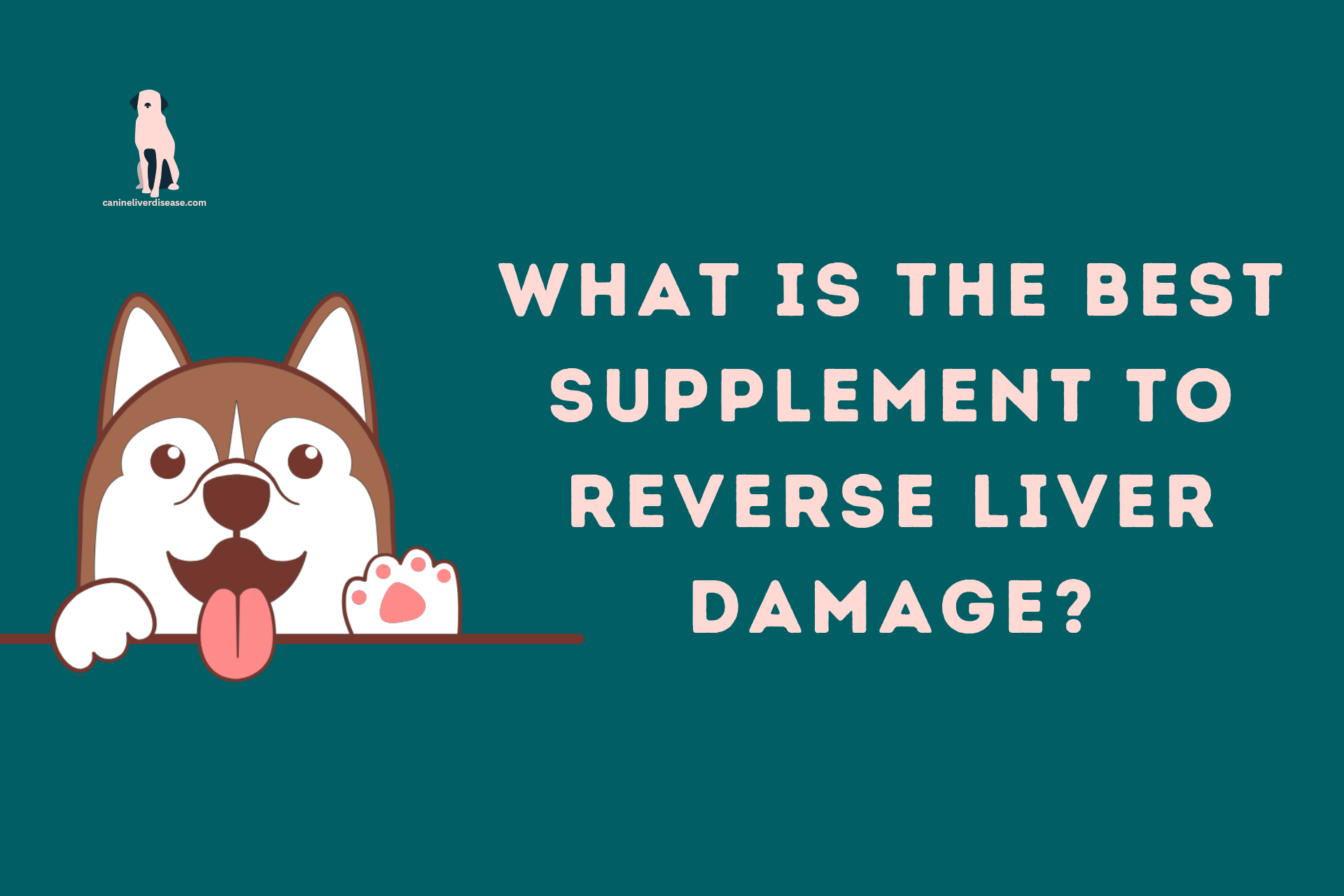 what-is-the-best-supplement-to-reverse-liver-damage-canine-liver