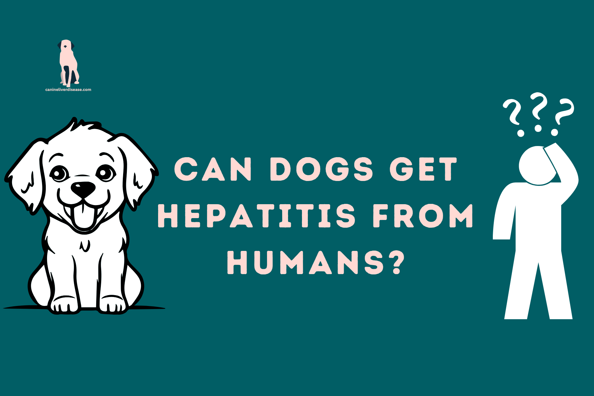 Can Dogs Get Hepatitis From Humans?