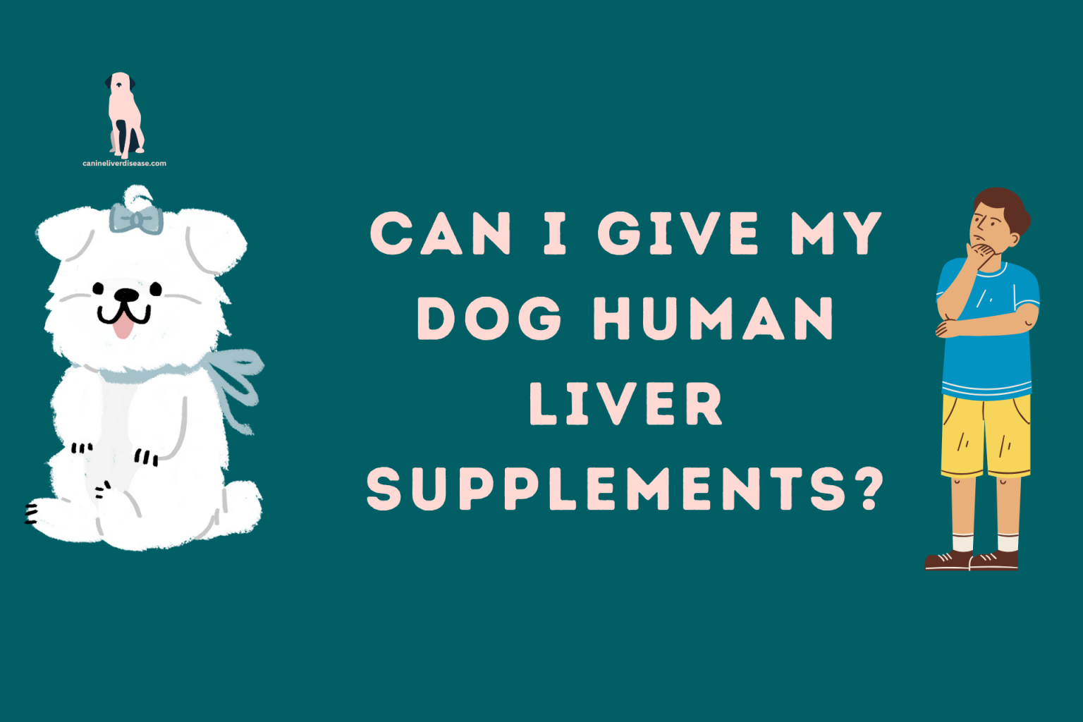 can-i-give-my-dog-human-liver-supplements-canine-liver-disease