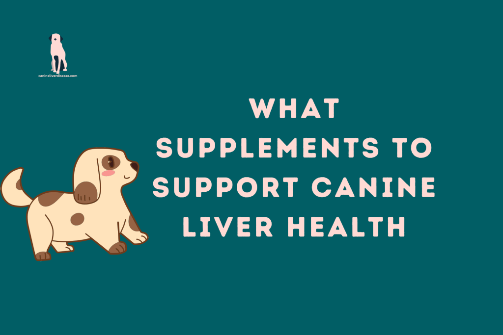 How to Use Milk Thistle for Your Dog’s Liver Health: Benefits, Dosage ... - Canine Liver Disease From Grapes