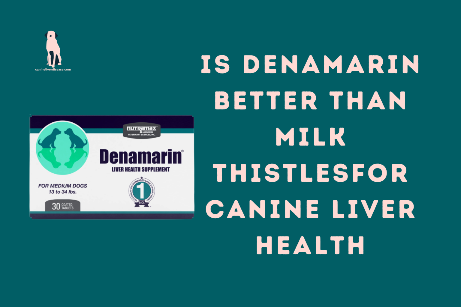 is-denamarin-better-than-milk-thistle-for-canine-liver-health-canine