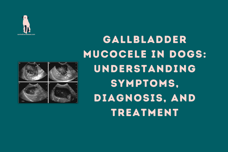 what-is-the-treatment-for-gallbladder-sludge-youtube