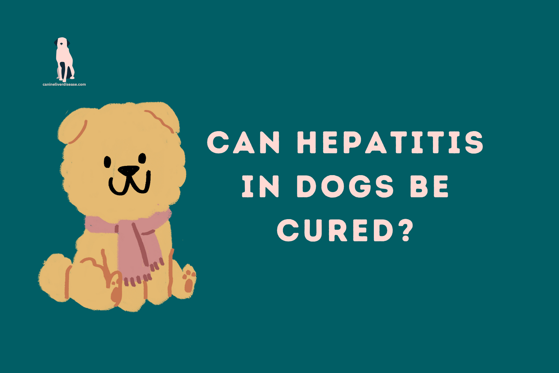 Can Hepatitis In Dogs Be Cured?