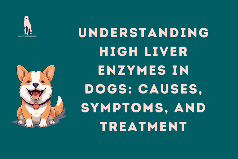 Understanding High Liver Enzymes in Dogs: Causes, Symptoms, and Treatment