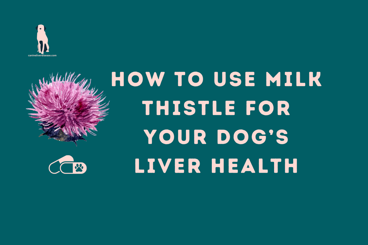 how-to-use-milk-thistle-for-your-dog-s-liver-health-benefits-dosage