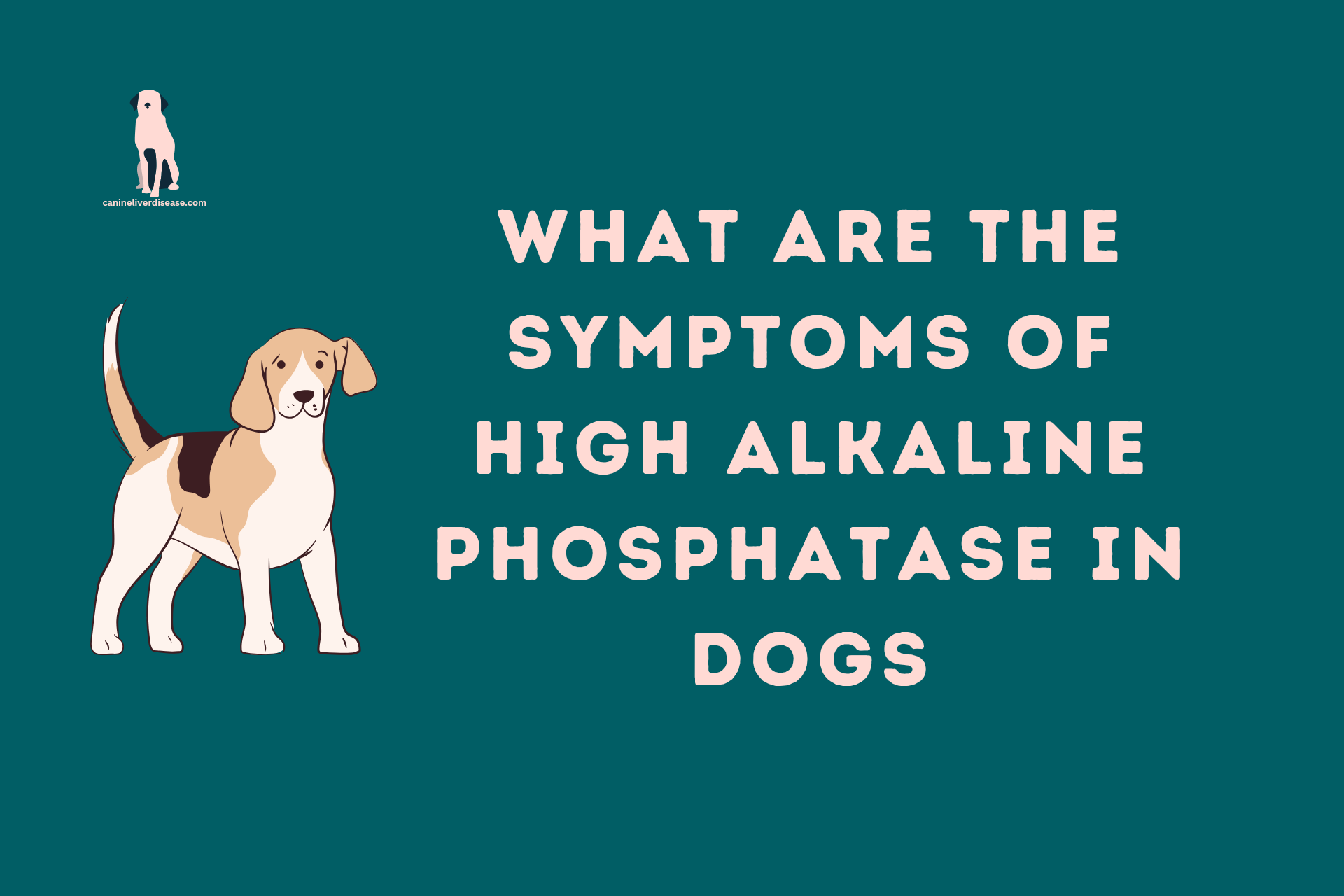 What Are The Symptoms Of High Alkaline Phosphatase In Dogs