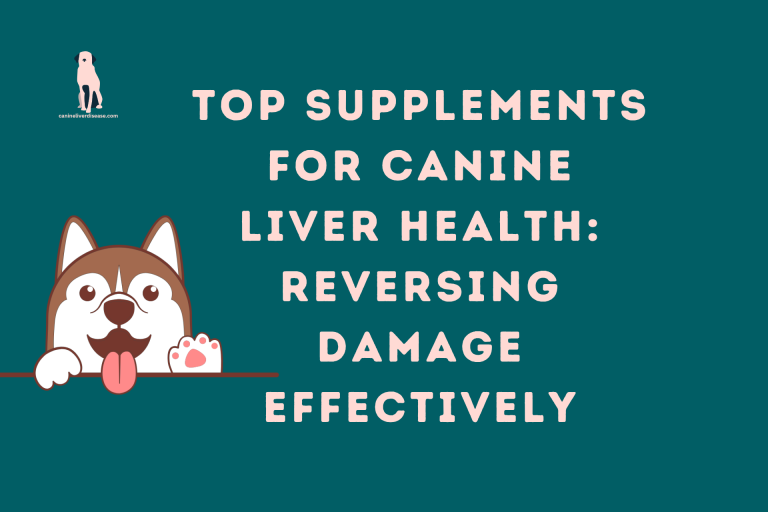 Top Supplements for Canine Liver Health: Reversing Damage Effectively