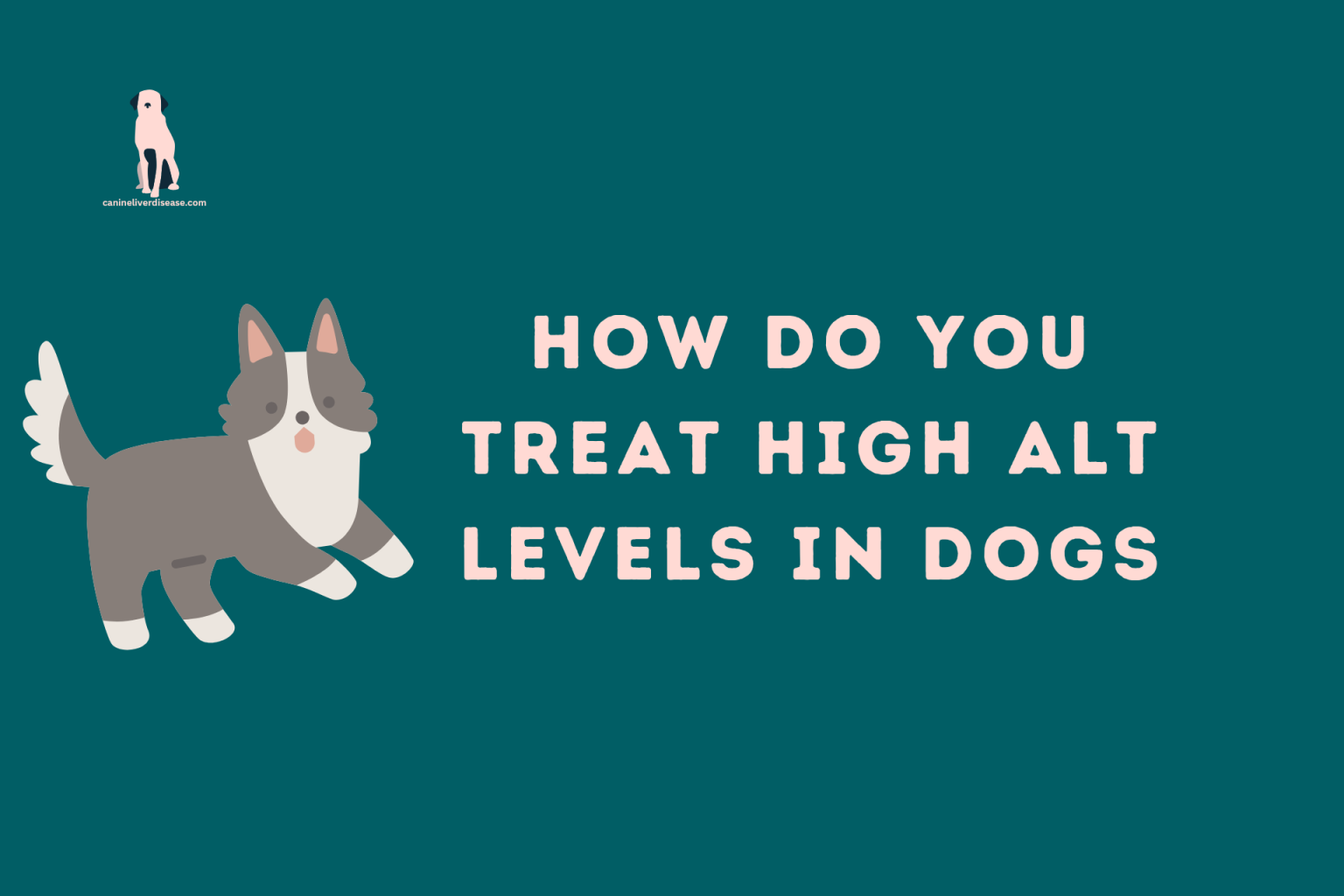 how-do-you-treat-high-alt-levels-in-dogs-canine-liver-disease