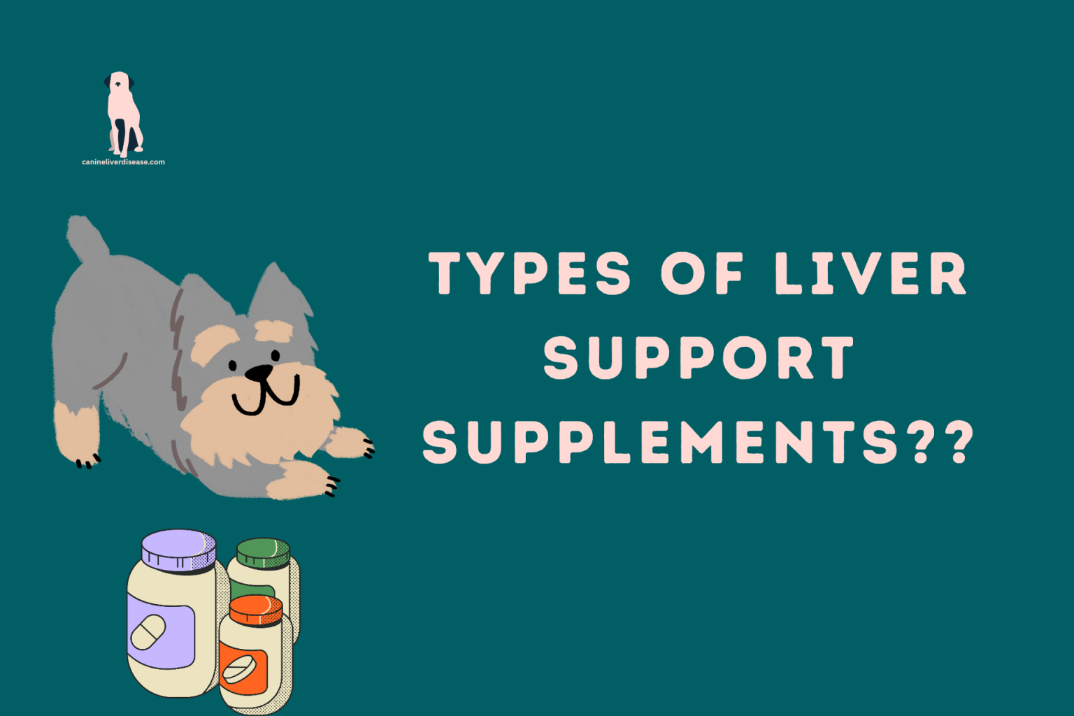Types of Liver Support Supplements For Dogs Canine Liver Disease